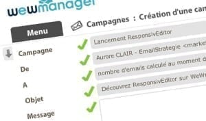 wewmanager-emailstrategie