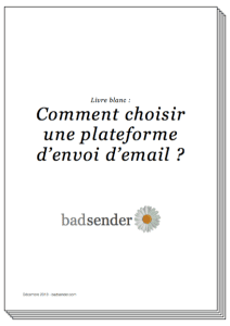 badsender-choose-platform-emailing-2013-cover