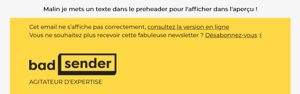 Preheader visible dans l'email