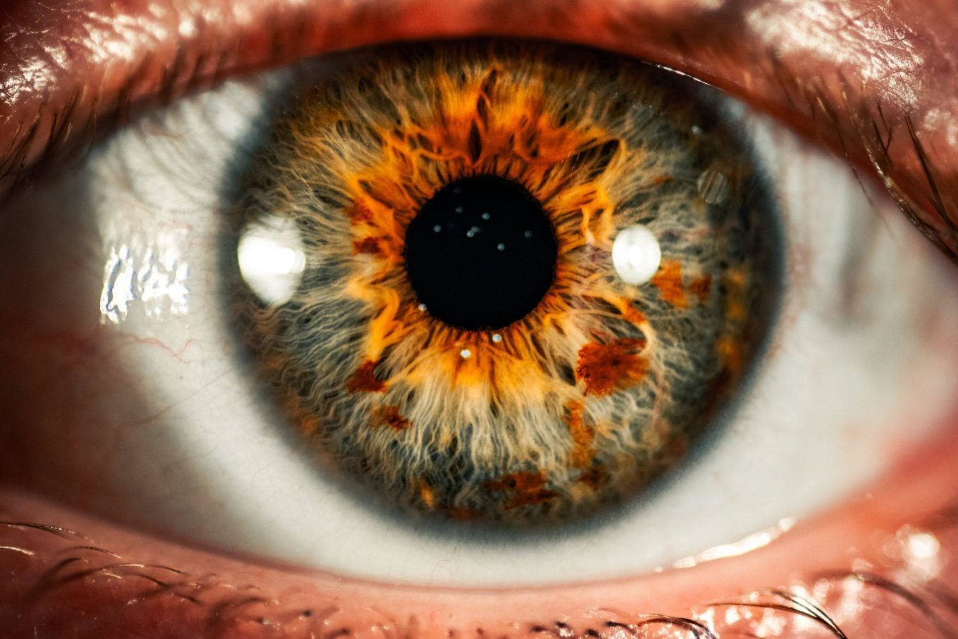 pupil retina